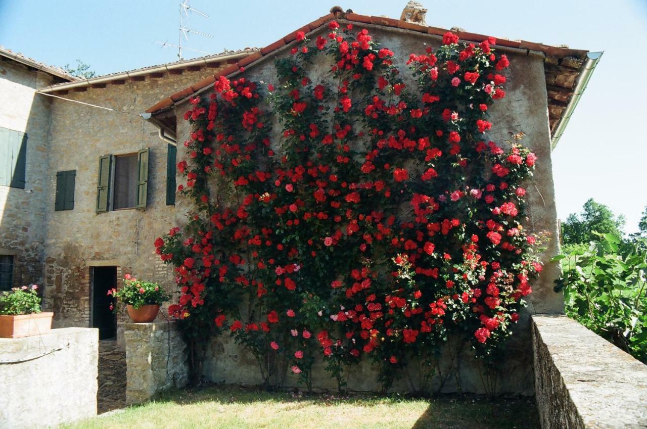 La Corte Bonomini Bed and Breakfast Neviano degli Arduini Esterno foto