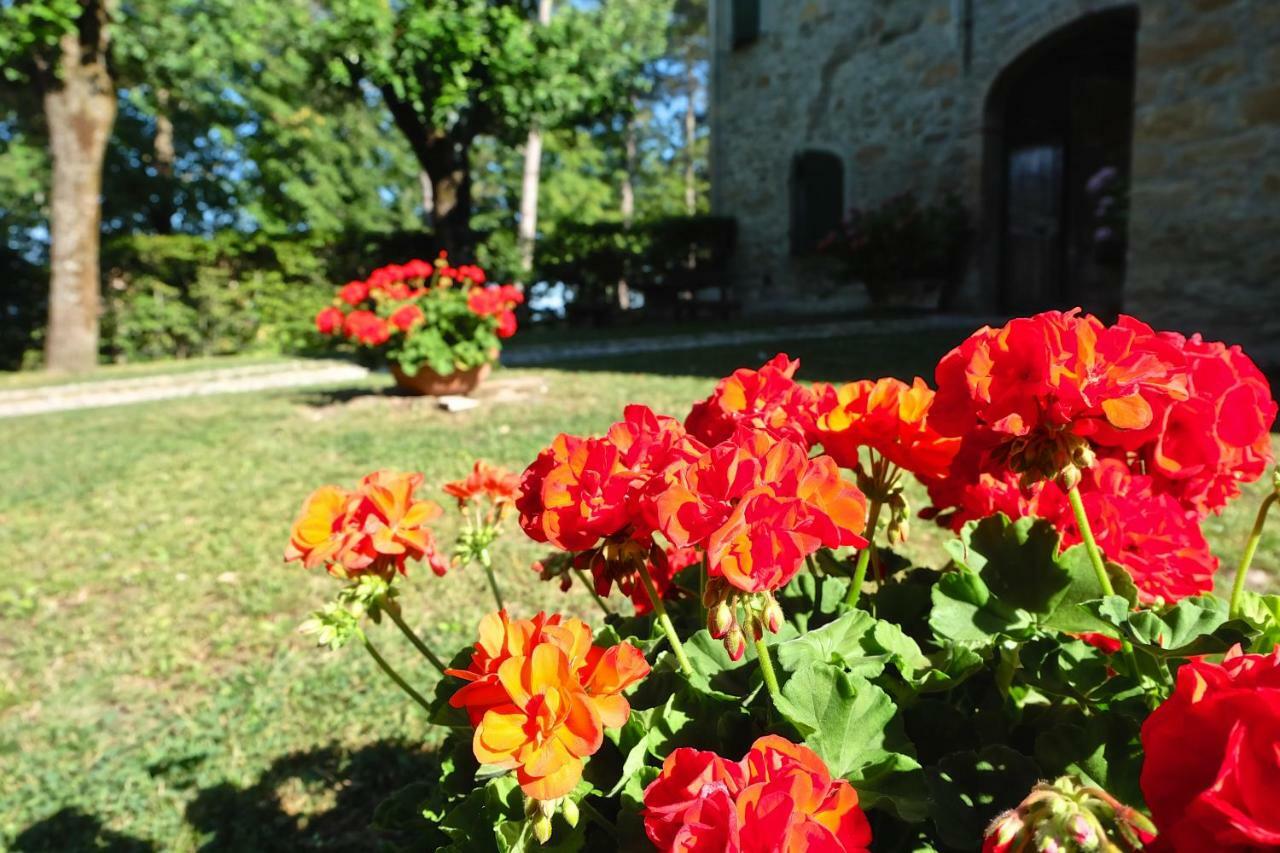 La Corte Bonomini Bed and Breakfast Neviano degli Arduini Esterno foto